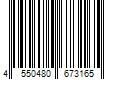 Barcode Image for UPC code 4550480673165