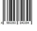 Barcode Image for UPC code 4560393840394