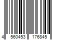 Barcode Image for UPC code 4560453176845