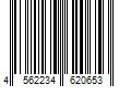 Barcode Image for UPC code 4562234620653