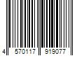 Barcode Image for UPC code 4570117919077