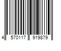 Barcode Image for UPC code 4570117919879