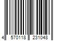 Barcode Image for UPC code 4570118231048