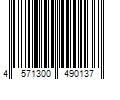 Barcode Image for UPC code 4571300490137