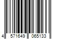 Barcode Image for UPC code 4571649065133