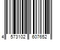 Barcode Image for UPC code 4573102607652