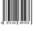 Barcode Image for UPC code 4573102651976