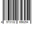 Barcode Image for UPC code 4573102656254