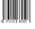 Barcode Image for UPC code 4573102662507