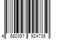 Barcode Image for UPC code 4580397924739