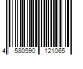 Barcode Image for UPC code 4580590121065