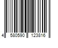 Barcode Image for UPC code 4580590123816