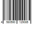 Barcode Image for UPC code 4580590129085