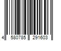 Barcode Image for UPC code 4580785291603