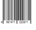 Barcode Image for UPC code 4581471222871