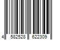 Barcode Image for UPC code 4582528622309