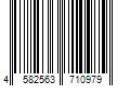 Barcode Image for UPC code 4582563710979