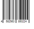 Barcode Image for UPC code 4582563850224