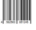 Barcode Image for UPC code 4582563851245