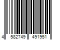 Barcode Image for UPC code 4582749491951