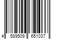 Barcode Image for UPC code 4589509651037