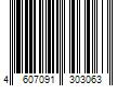 Barcode Image for UPC code 4607091303063