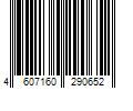 Barcode Image for UPC code 4607160290652