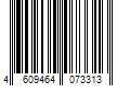 Barcode Image for UPC code 4609464073313