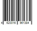 Barcode Image for UPC code 4620016961384