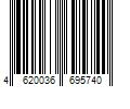 Barcode Image for UPC code 4620036695740