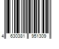 Barcode Image for UPC code 4630381951309