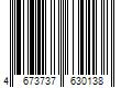 Barcode Image for UPC code 4673737630138