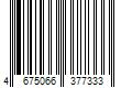 Barcode Image for UPC code 4675066377333