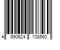 Barcode Image for UPC code 4690624138560