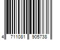 Barcode Image for UPC code 4711081905738