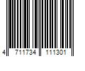 Barcode Image for UPC code 4711734111301