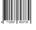 Barcode Image for UPC code 4712937603730