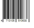 Barcode Image for UPC code 4713105510638