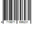 Barcode Image for UPC code 4719871696231