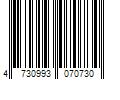 Barcode Image for UPC code 4730993070730