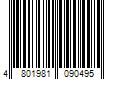 Barcode Image for UPC code 4801981090495