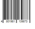 Barcode Image for UPC code 4801981139873