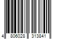 Barcode Image for UPC code 4806028313841