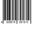 Barcode Image for UPC code 4806519891810