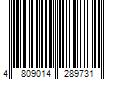 Barcode Image for UPC code 4809014289731