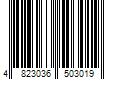 Barcode Image for UPC code 4823036503019