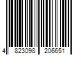 Barcode Image for UPC code 4823098206651