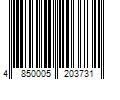 Barcode Image for UPC code 4850005203731