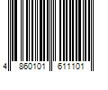 Barcode Image for UPC code 4860101611101