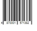 Barcode Image for UPC code 4870001571382